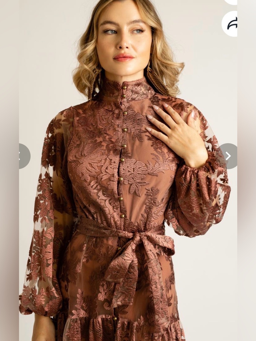 JOYFOLIE Bellana Dress in Rosette | Romantic Embroidered Mesh Maxi Dress | NWT - Picture 4 of 16